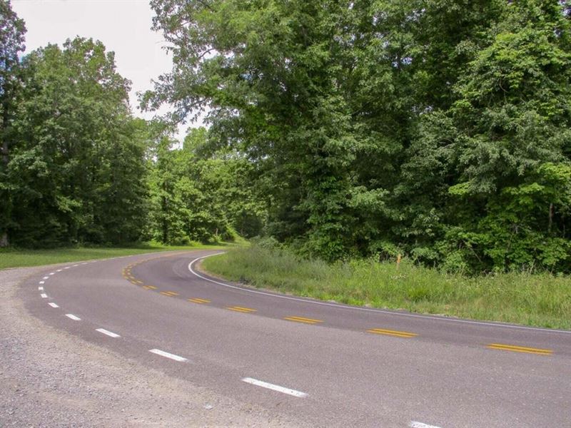 Corner Lot, Paved Road Frontage : Pikeville : Bledsoe County : Tennessee