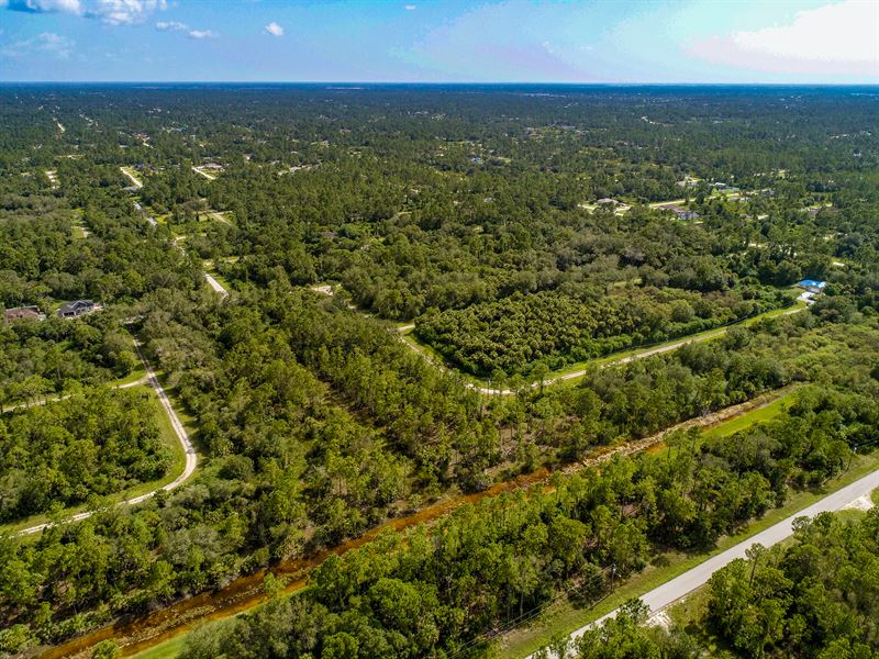 Your Dream Home Awaits : Lehigh Acres : Lee County : Florida