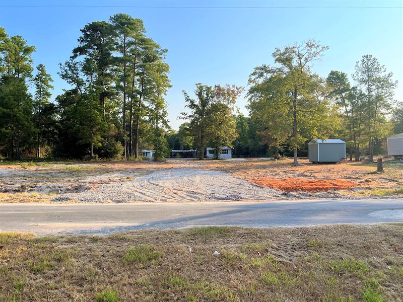 .18 Acre RV, Mobile, Tiny Home Lot : Trinity : Trinity County : Texas