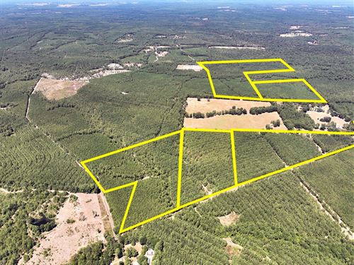 26 Acres, T-11 Saron : Nancy : Angelina County : Texas