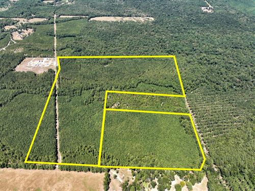 24 Acres, T-16 Saron : Nancy : Angelina County : Texas