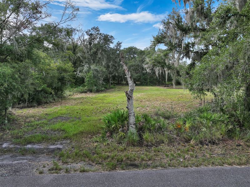 2.74 Acre Residential Potential : Plant City : Hillsborough County : Florida