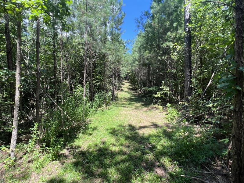 17.83 Acres Shelby County : Columbiana : Shelby County : Alabama