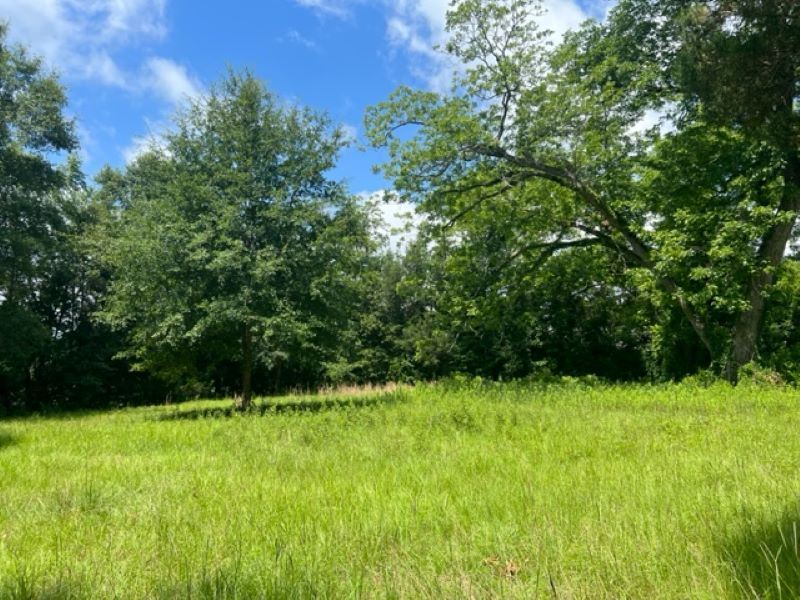 1311 Dorough Avenue : Albany : Dougherty County : Georgia