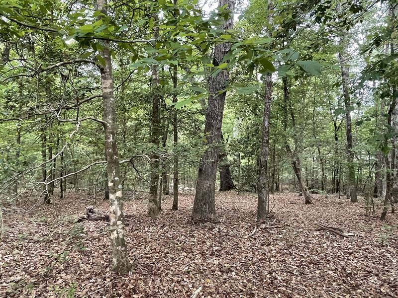 12.66 Acres in Amite County in Libe : Liberty : Amite County : Mississippi