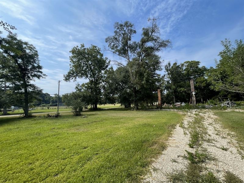 .80 Acre Lot in East Feliciana Pari : Wilson : East Feliciana Parish : Louisiana