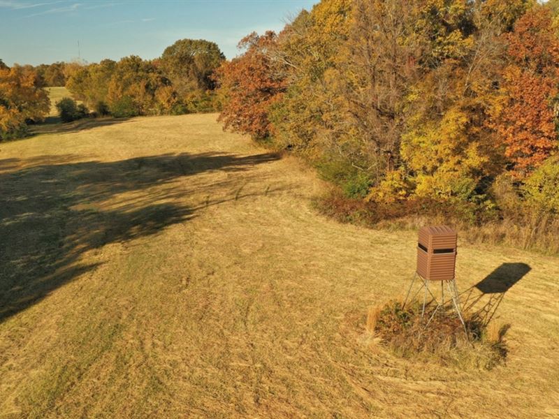 Martha's Ridge Tract 3, 130 Acres : Forrest City : Saint Francis County : Arkansas
