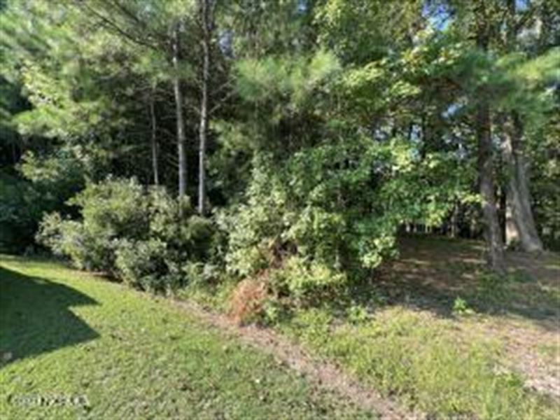 Waterfront Lot Bath, NC : Bath : Beaufort County : North Carolina