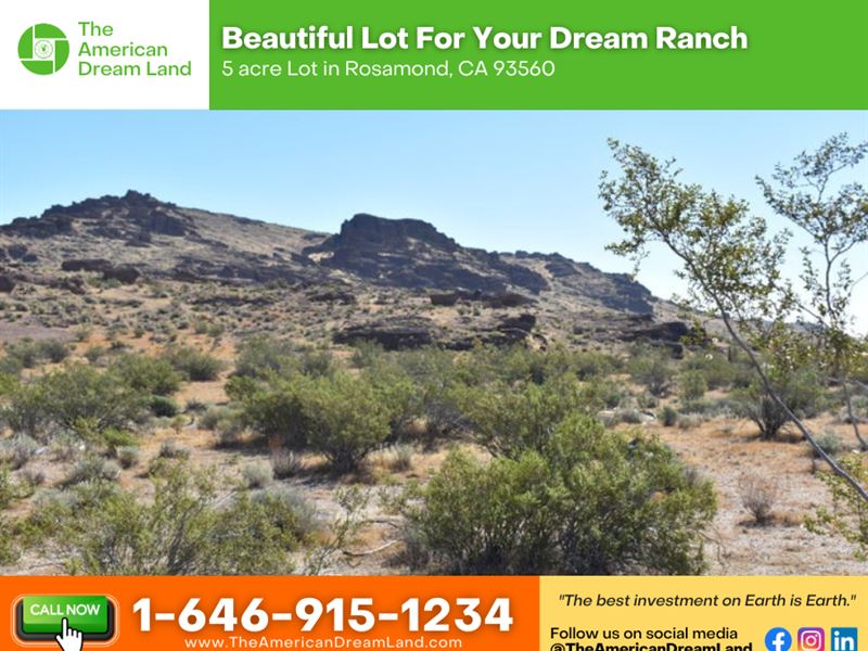 5 Acre Lot in Rosamond, CA : Rosamond : Kern County : California