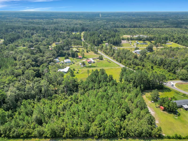 Tract 2, Bay Road in Pierce County : Blackshear : Pierce County : Georgia