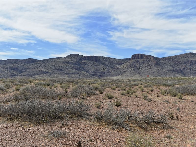 Country Living is The Best Out Here : Deming : Luna County : New Mexico