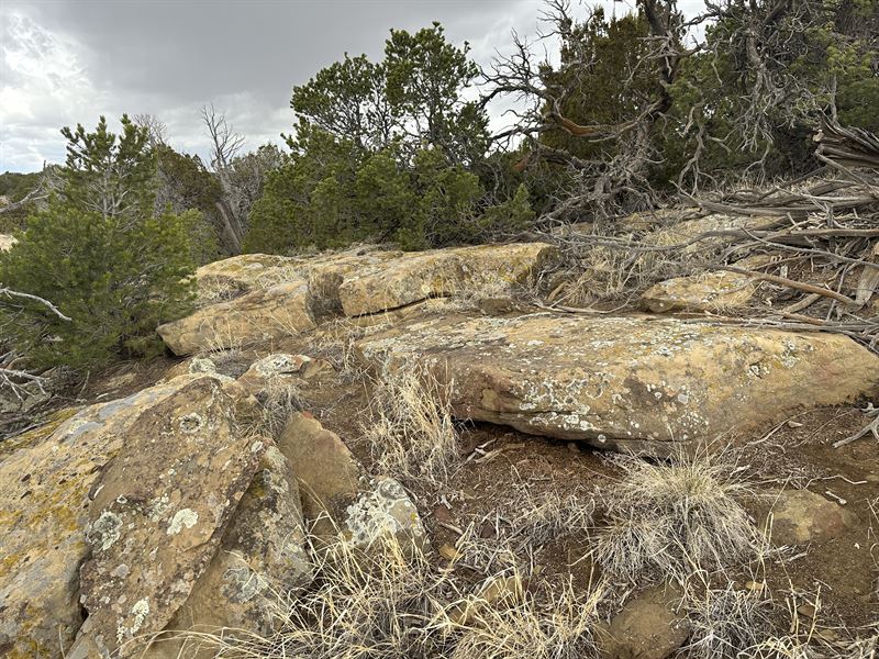 A Change of Scenery Here : Walsenburg : Huerfano County : Colorado