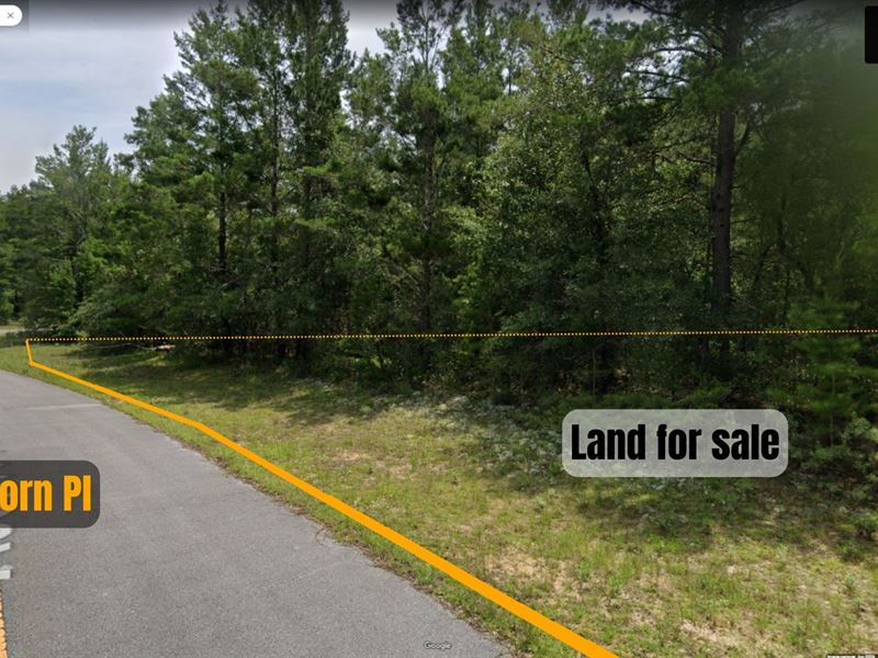 Land for Sale in Walton County, FL : Chipley : Washington County : Florida