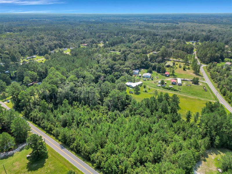 Tract 3, Bay Road in Pierce County : Blackshear : Pierce County : Georgia