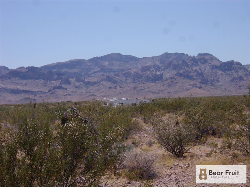 Discover RV Camping Paradise : Golden Valley : Mohave County : Arizona