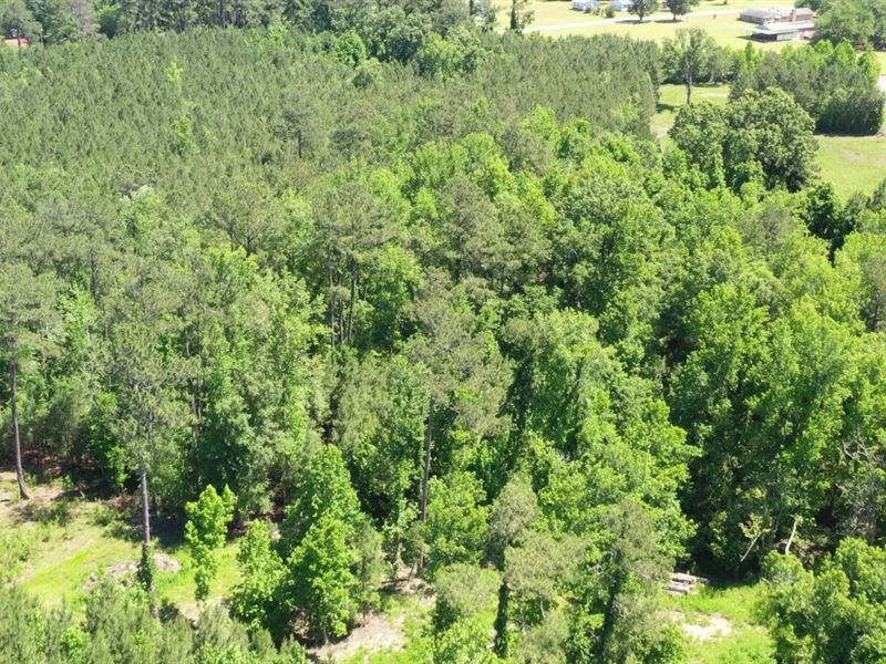 1.7 Acres, Mobile Home Friendly : Andrews : Georgetown County : South Carolina
