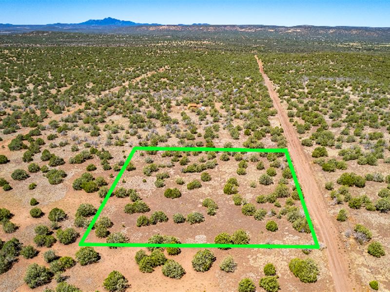 Amazing Off-Grid Acreage, Ash Fork : Williams : Coconino County : Arizona