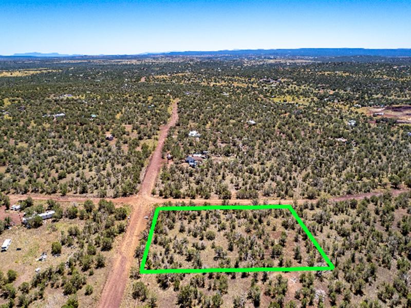 Fantastic Acreage in Ash Fork : Williams : Coconino County : Arizona