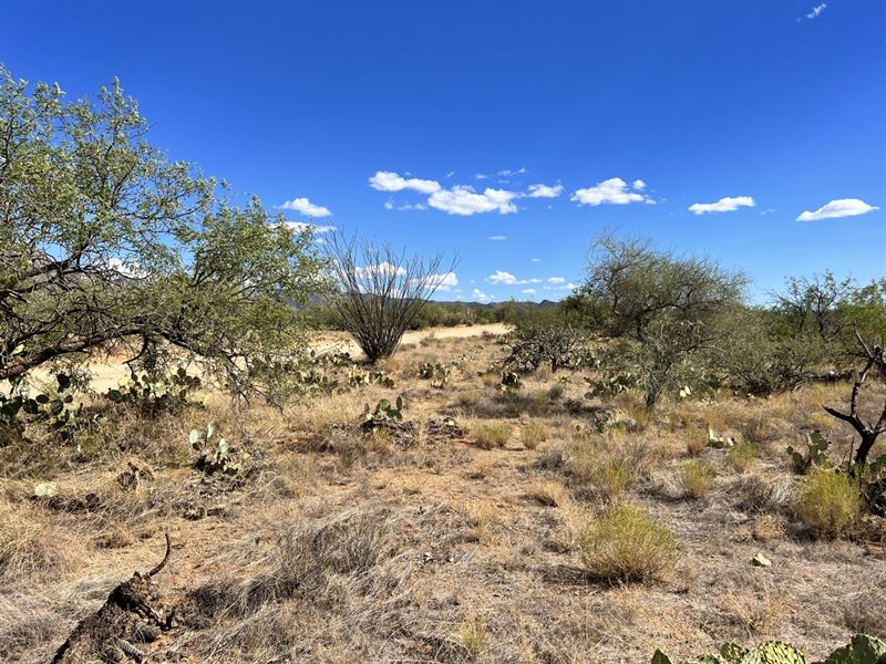 1.3 Ac Mountain View in Pima County : Tucson : Pima County : Arizona