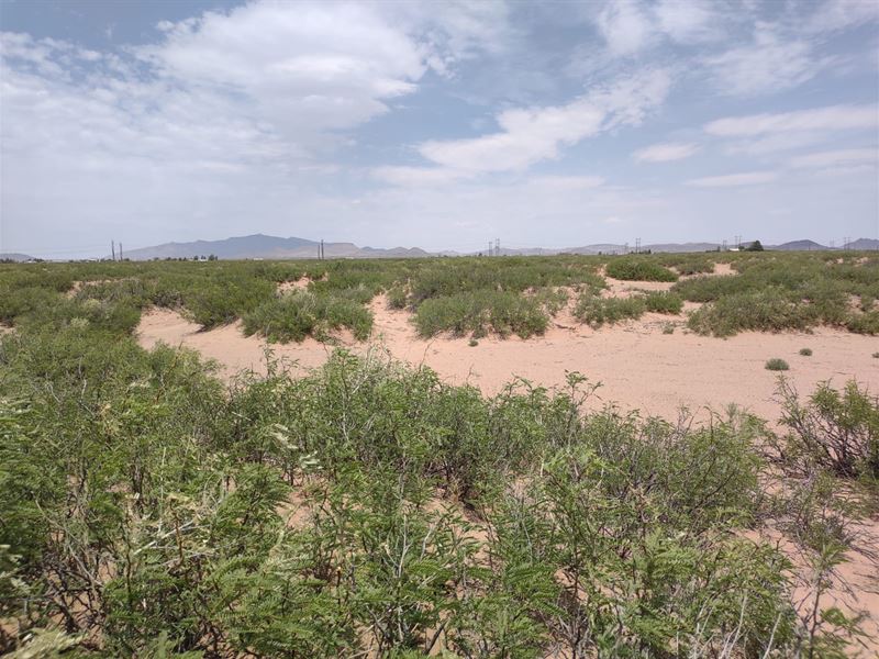 Adventure Seekers Needed Plus More : Deming : Luna County : New Mexico