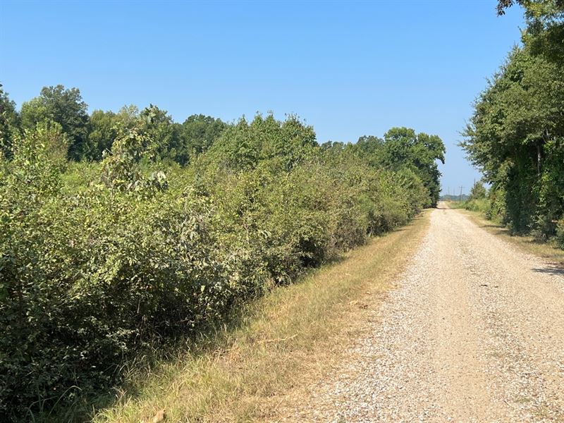 La, Richland 25 Acres : Holly Ridge : Richland Parish : Louisiana