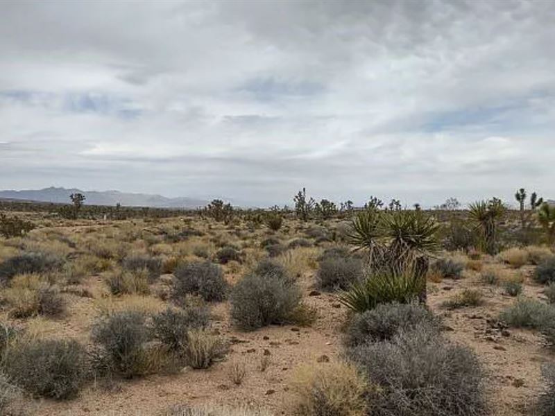 Prime Piece of Property : Meadview : Mohave County : Arizona