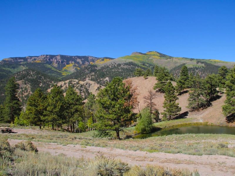 Nourse Creek Ranch : Lake City : Hinsdale County : Colorado