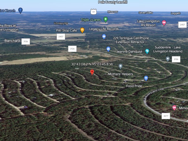 Nature's Masterpiece for $153.53/Mo : Livingston : Polk County : Texas