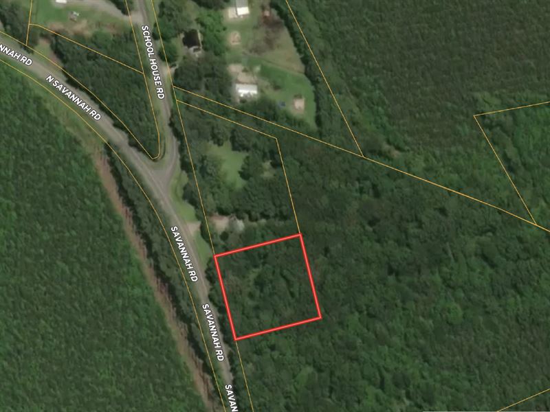 A Serene One Acre Wooded Lot : Belhaven : Beaufort County : North Carolina