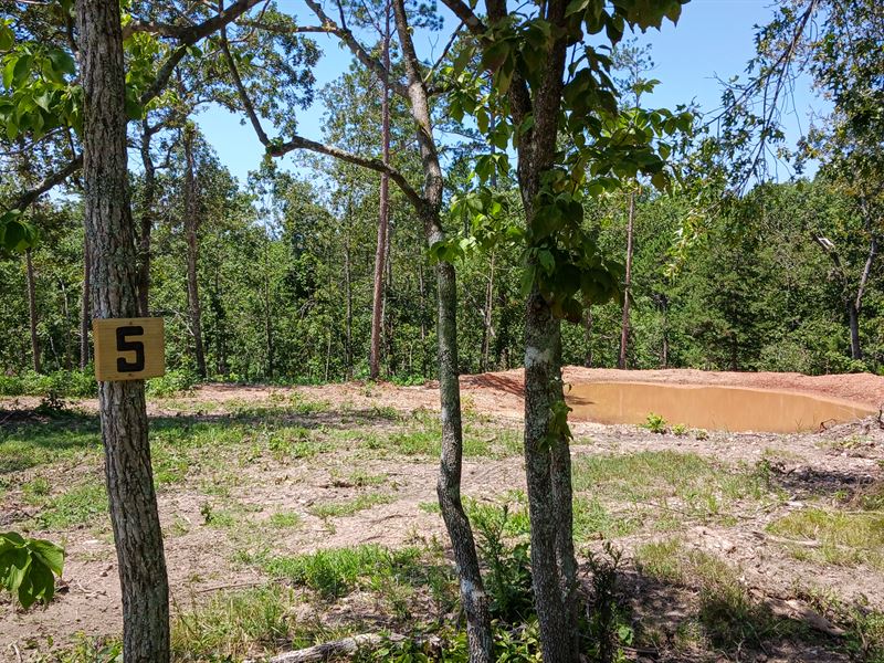 Quaint Pond and Incredible View : Bucyrus : Texas County : Missouri