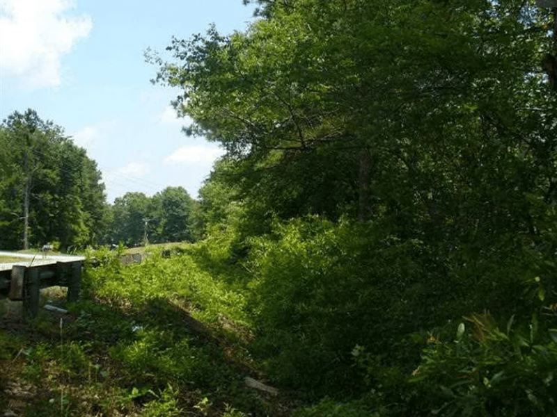 .43 Acre Lot Located in Villa Rica : Villa Rica : Carroll County : Georgia