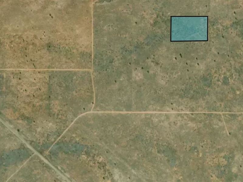 Beautiful Lake Conchas Area : Tucumcari : San Miguel County : New Mexico