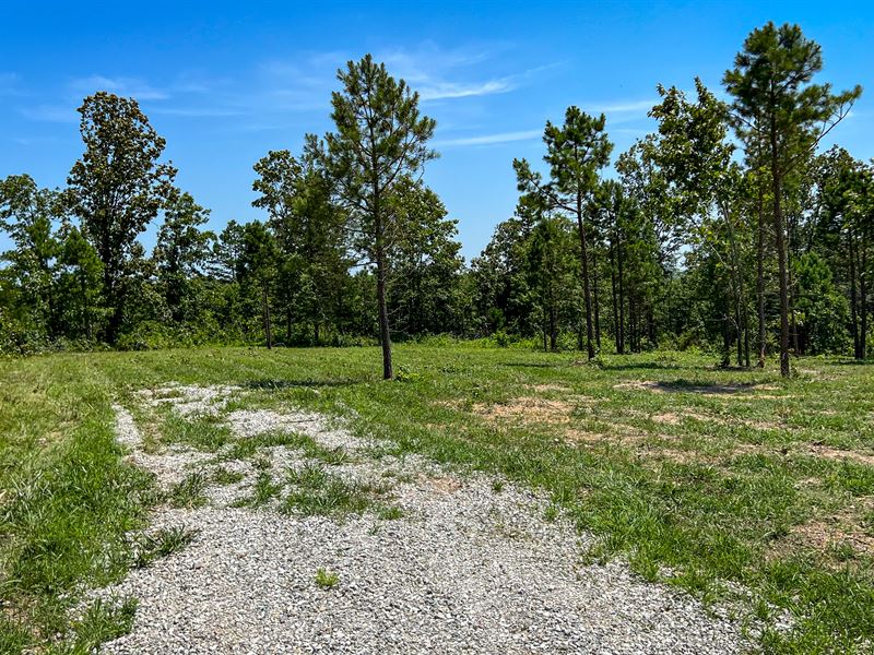 Near Horseshoe Conservation Area : Bucyrus : Texas County : Missouri