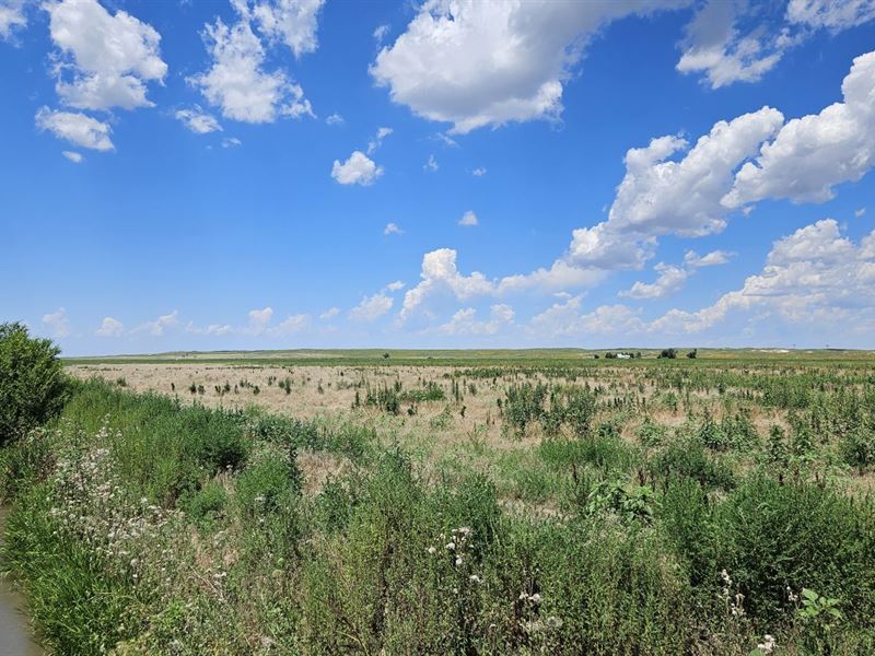 Peterson Bend Irrigated Grass : Julesburg : Sedgwick County : Colorado