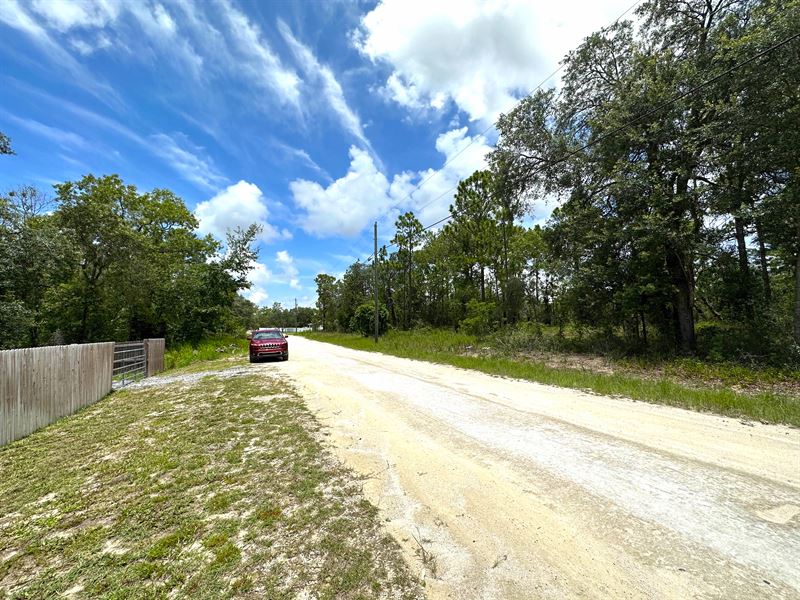 Power & Gravel Road Access : Brooksville : Hernando County : Florida