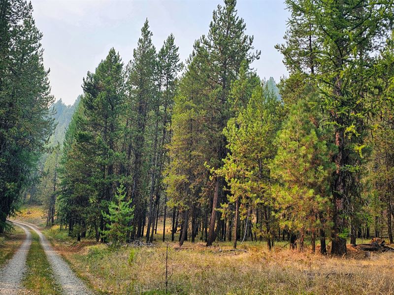 Wolf Creek Tract : Libby : Lincoln County : Montana