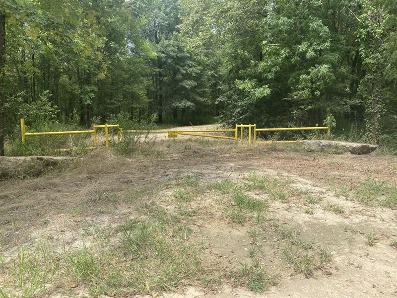 Janesville Rd. 340 : Terry : West Carroll Parish : Louisiana