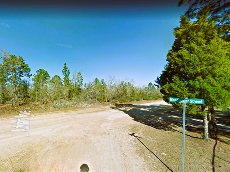 Own a Piece of Florida : Interlachen : Putnam County : Florida