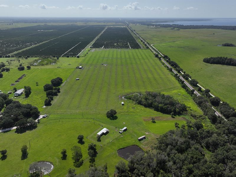 Arbuckle Branch Pasture : Sebring : Highlands County : Florida