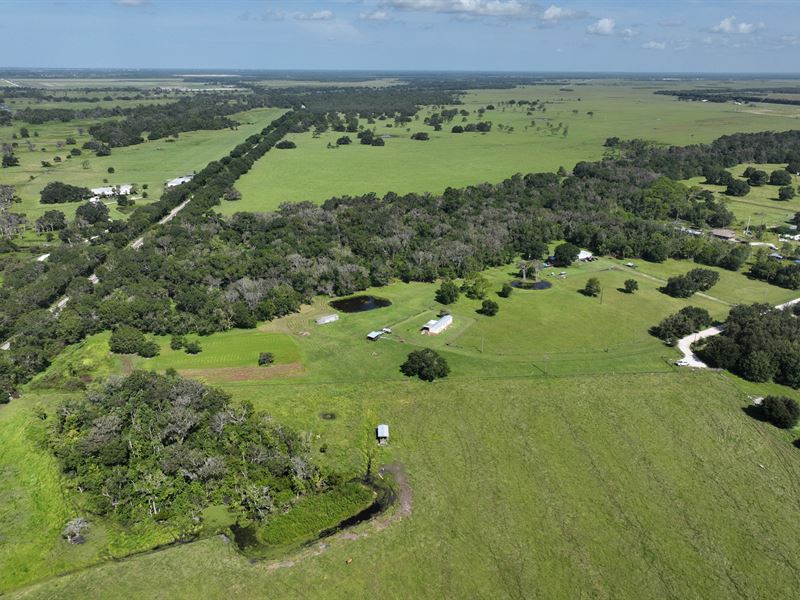 Arbuckle Branch Ranchette 2 : Sebring : Highlands County : Florida