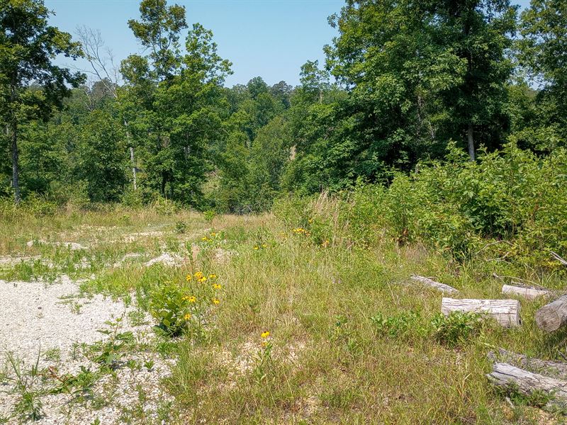 Stunning Views and Seclusion : Thomasville : Oregon County : Missouri