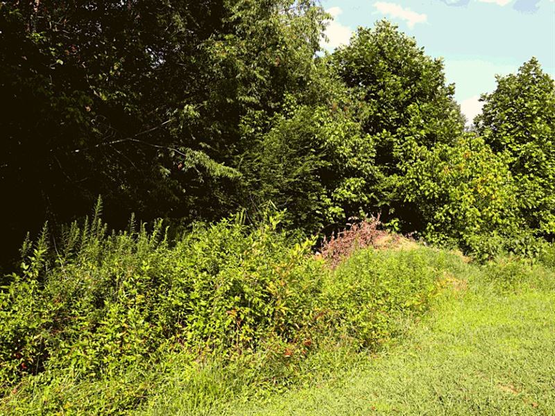 .45 Acre Only $499 Down, $499/Mo : New Tazewell : Claiborne County : Tennessee