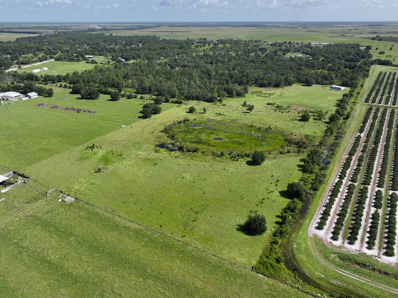 Arbuckle Branch Ranchette 3 : Sebring : Highlands County : Florida