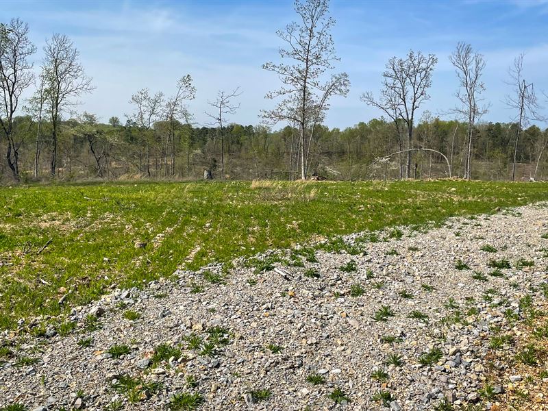 Vast Hilltop Home Site : Thomasville : Oregon County : Missouri