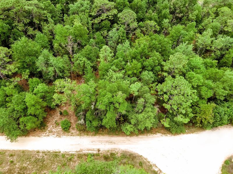 1 hr From Jacksonville, Buildable : Keystone Heights : Clay County : Florida