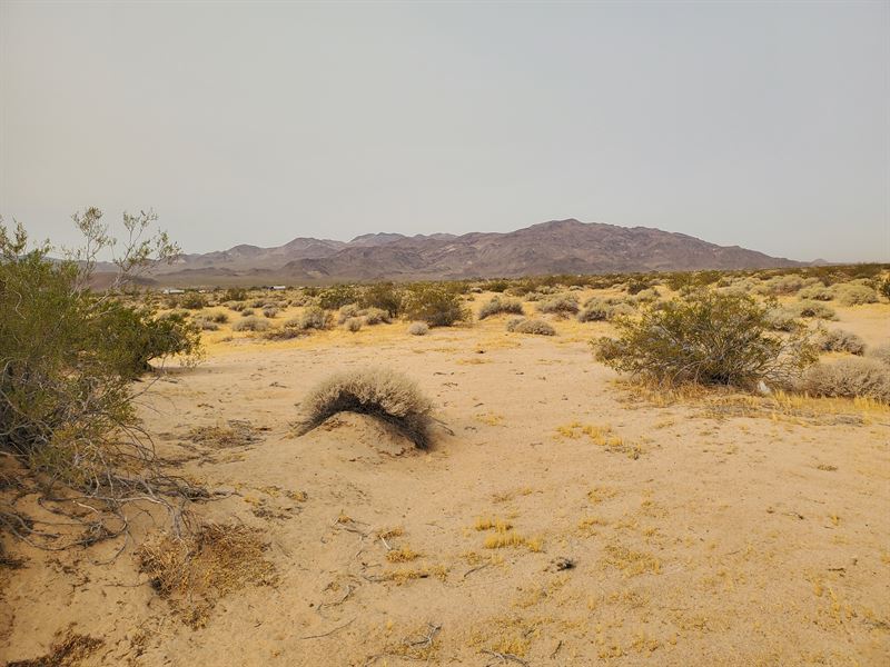 4.16 Acre Desert Oasis, Easy Access : Newberry Springs : San Bernardino County : California
