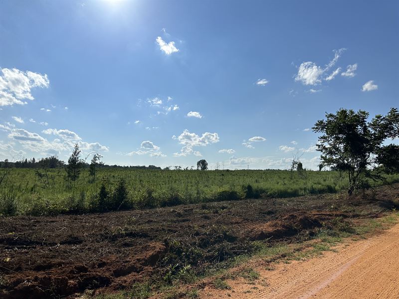 Lane Road 3.75 Ac Lot : Atmore : Monroe County : Alabama