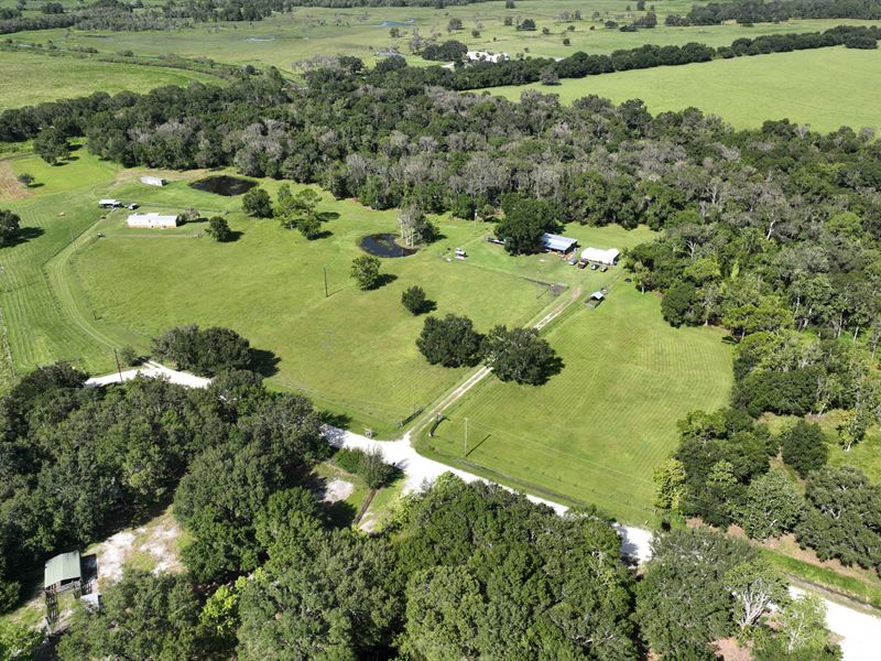 Arbuckle Branch Ranchette 1 : Sebring : Highlands County : Florida