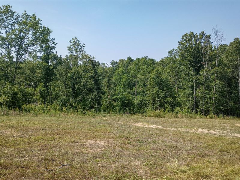 Start Your Homesteading Journey : Van Buren : Reynolds County : Missouri