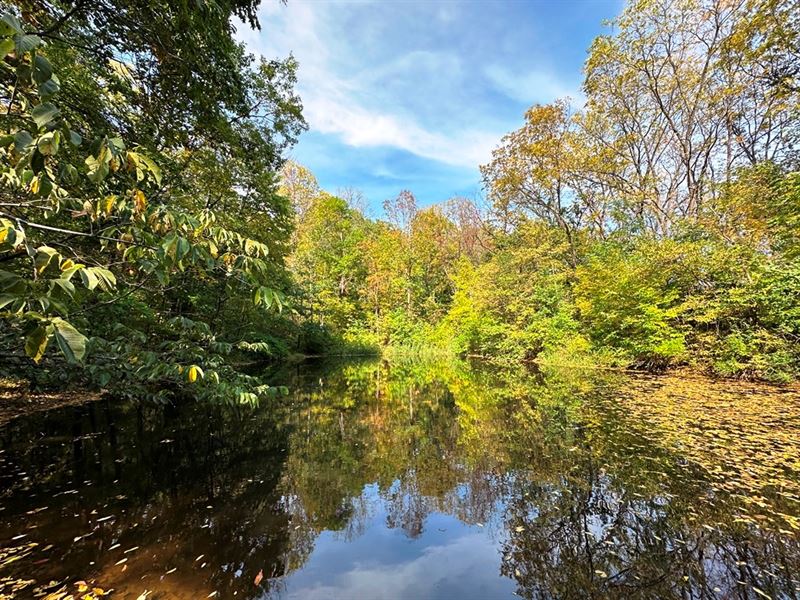 Old Town Hideaway : Muscoda : Richland County : Wisconsin